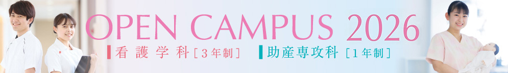 動画紹介リンク