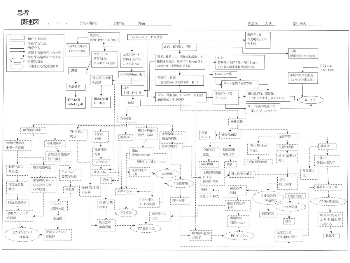 看護 実習 学生 病院 アセスメント 手順書 関連図 計画 看護過程の展開